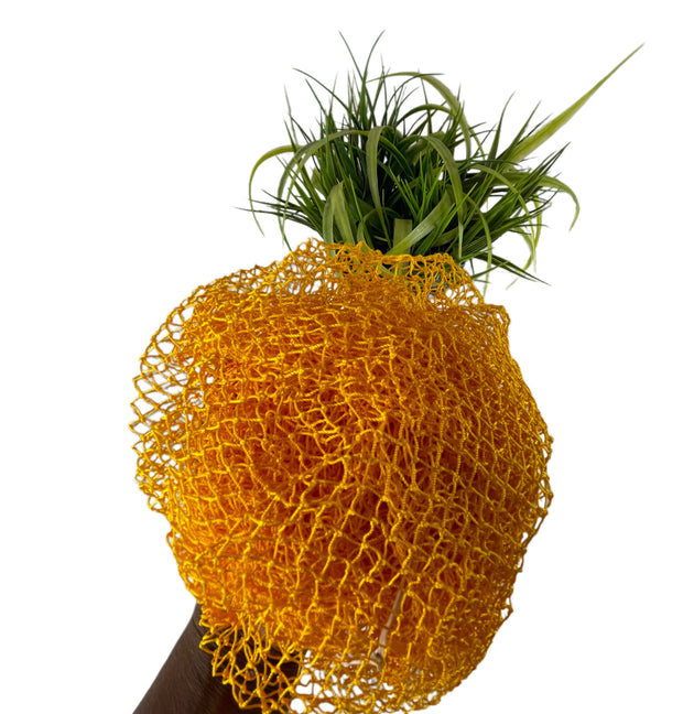 African Sponges/Loofah/African Exfoliating Sponges/African Bath Sponges.