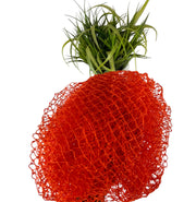 African Sponges/Loofah/African Exfoliating Sponges/African Bath Sponges.