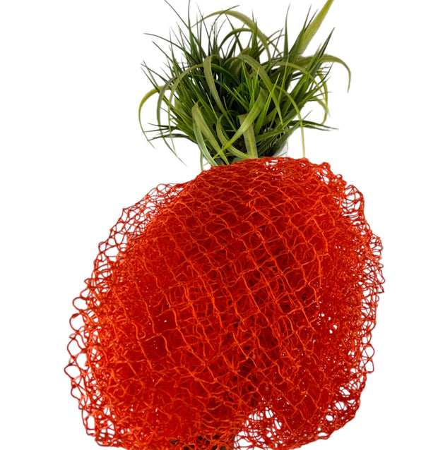 African Sponges/Loofah/African Exfoliating Sponges/African Bath Sponges.